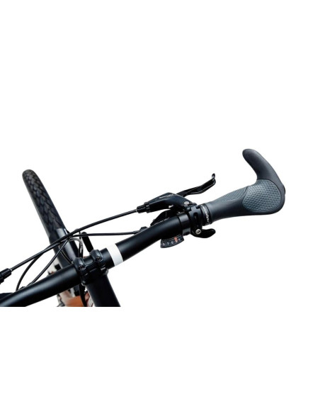 Vélo de voyage Ridgeback Expedition Orange - 2022