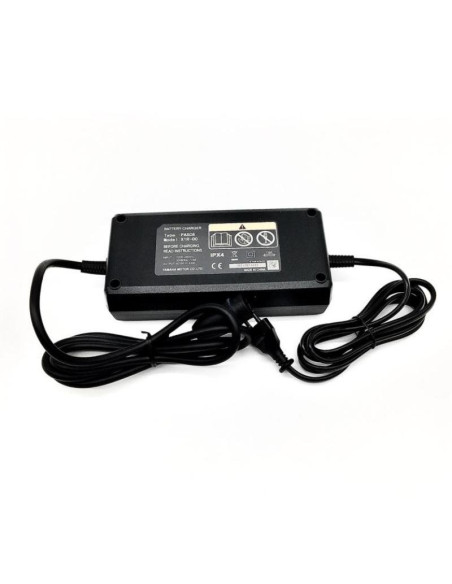 Chargeur de batterie Yamaha Intube 36V 500Wh - 2019