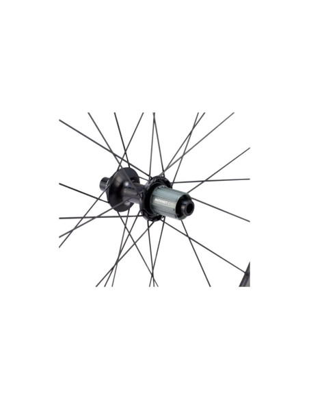 Roue arrière ROVAL Alpiniste CLX Disc