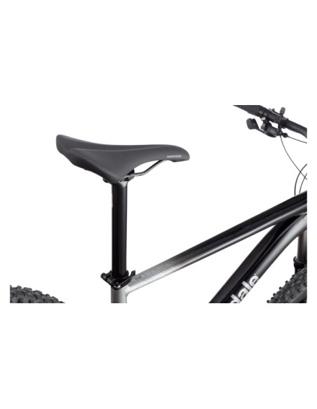 VTT CANNONDALE Trail SL 4 Gris - 2023
