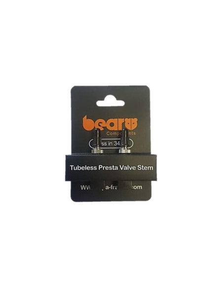 VALVES TUBELESS ACIER 34mm RECTANGLE BEAR