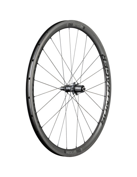 ROUE ARRIERE BONTRAGER / TREK   AEOLUS PRO 3 TLR PATINS HG