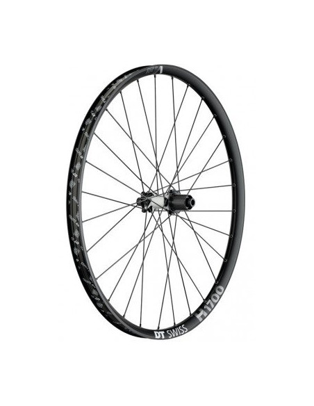 DT SWISS ARRIERE  H1700 / 29 / 6T / BST / 30MM / MS