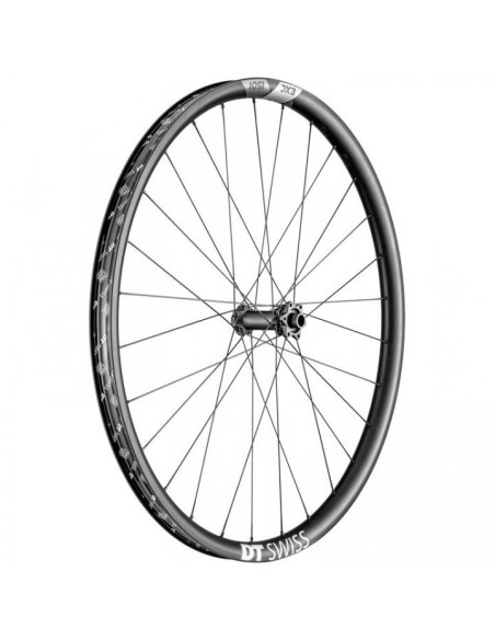 DT SWISS AVANT EXC 1501 SPLINE 29 / BST / 30MM / 6T