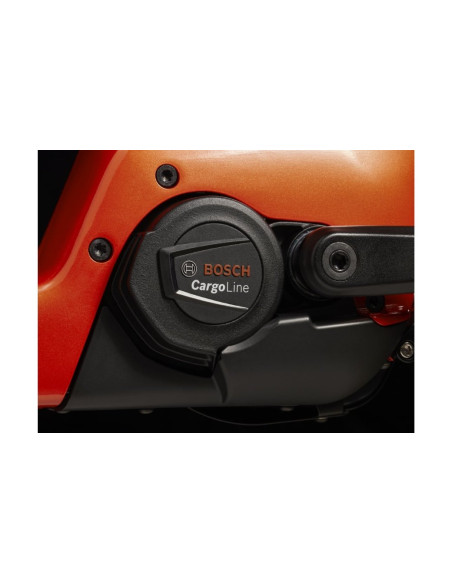 VAE Cargo Trek Fetch+ 4 Rouge 750Wh - 2025