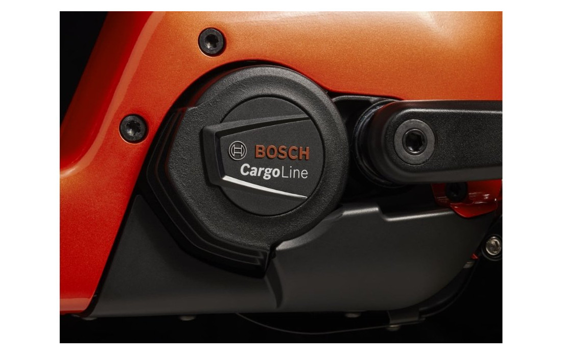 VAE Cargo Trek Fetch+ 4 Rouge 750Wh - 2025