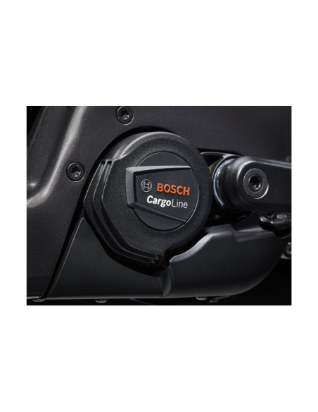 VAE Cargo Trek Fetch+ 4 Noir 750Wh - 2025