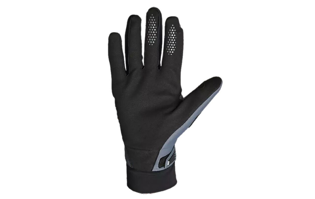 Gants Hiver FOX Defend Thermo Gris