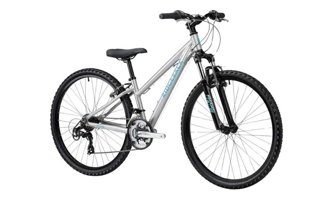 RIDGEBACK Serenity Gris - 2024