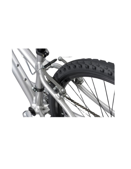 RIDGEBACK Serenity Gris - 2024