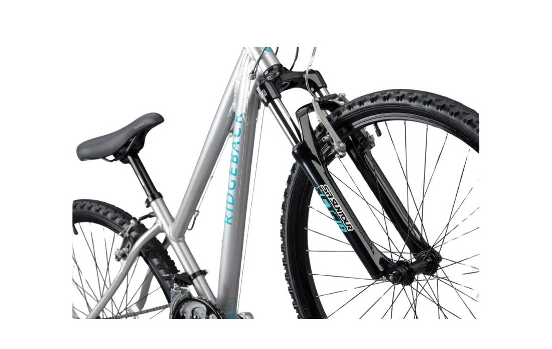 RIDGEBACK Serenity Gris - 2024