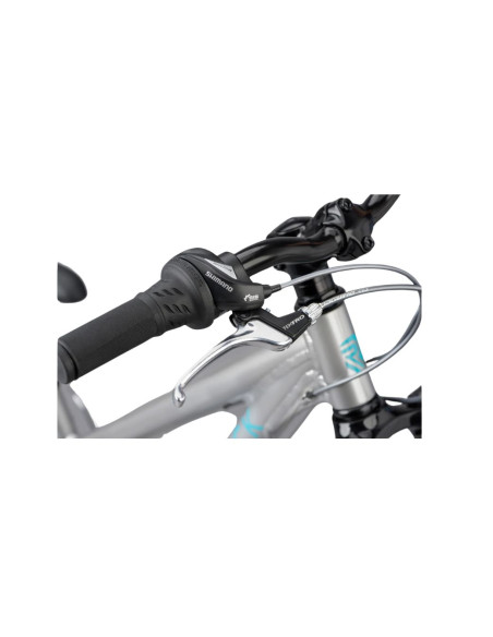 RIDGEBACK Serenity Gris - 2024