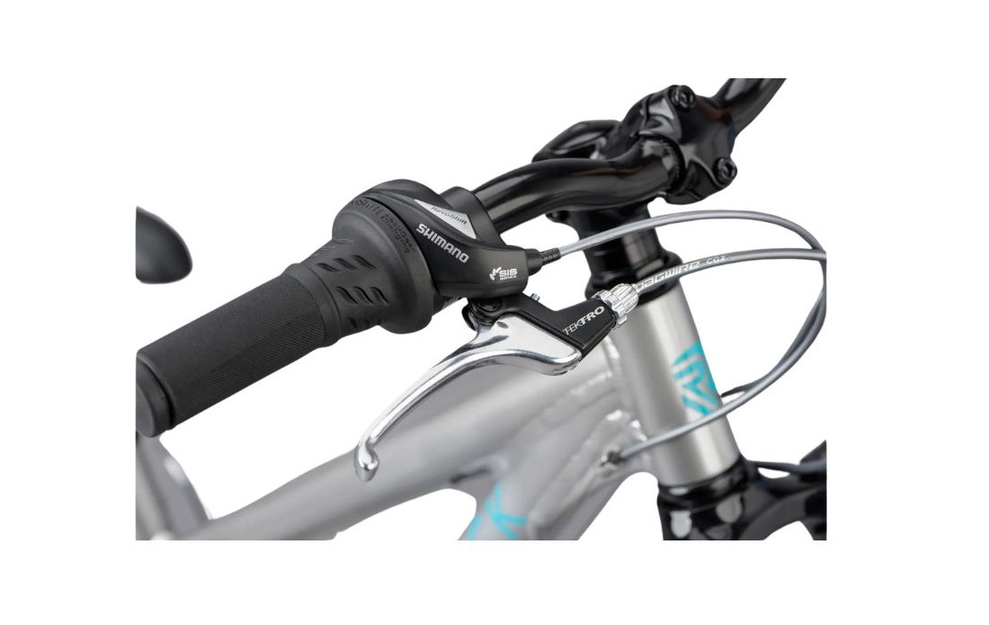 RIDGEBACK Serenity Gris - 2024