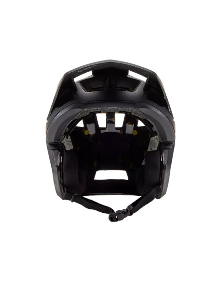 DropFrame Mips