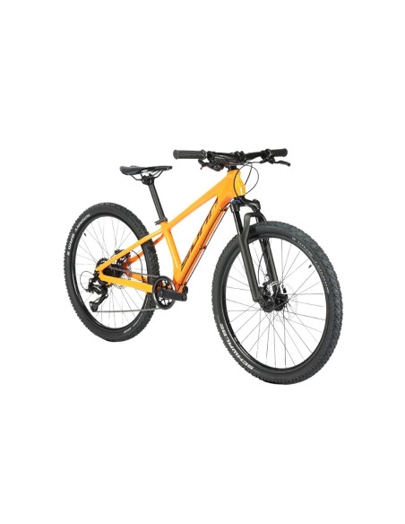 Sunn Tox 24 Jaune - 2025