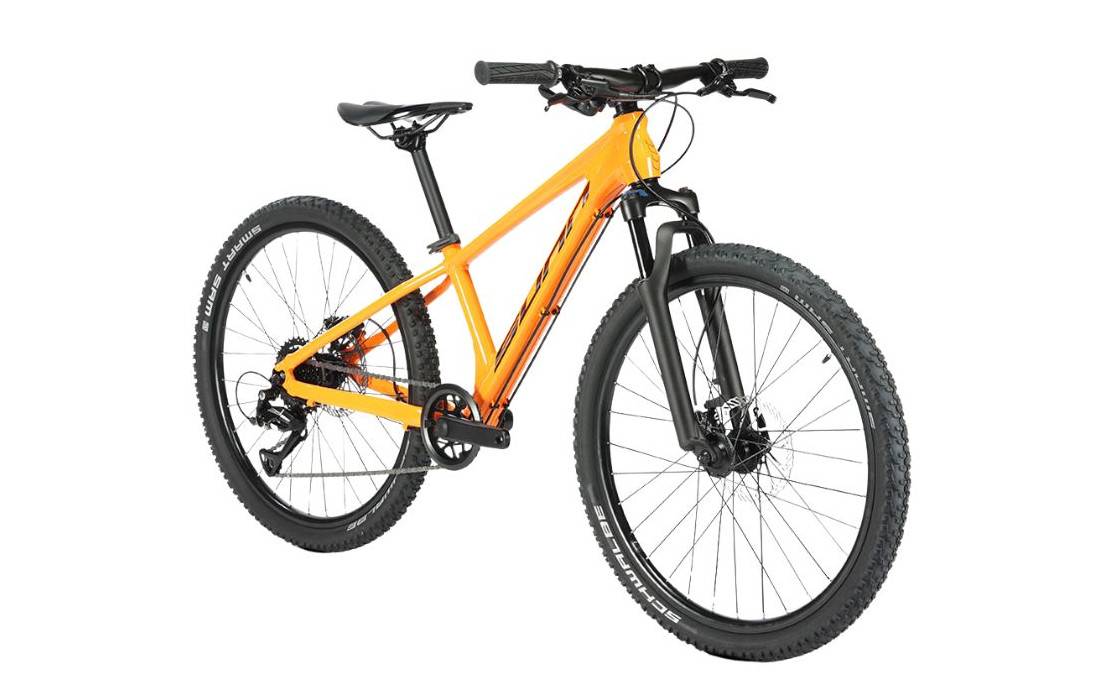 Sunn Tox 24 Jaune - 2025