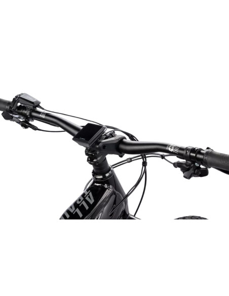 HAIBIKE AllTrail 10 800Wh Noir/Or