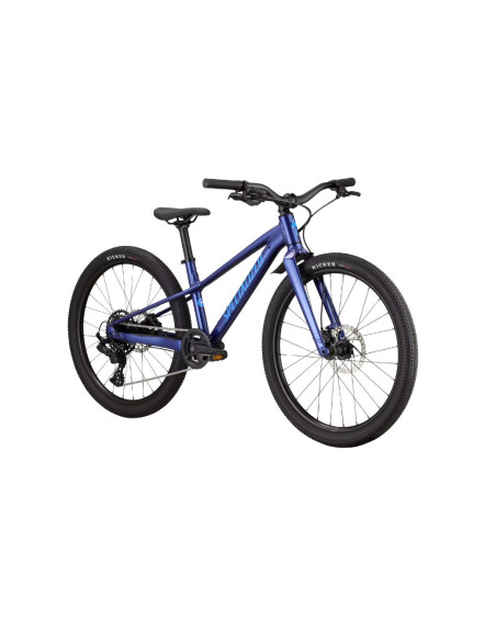 SPECIALIZED Riprock 24 Bleu - 2026
