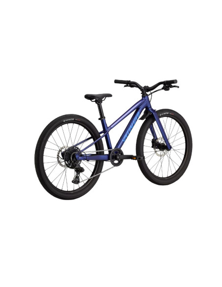 SPECIALIZED Riprock 24 Bleu - 2026