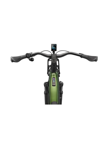 CANNONDALE Tesoro Automatic Vert