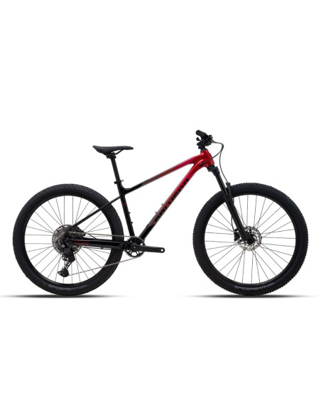 Polygon Xtrada 6 LG 29'' - 2026