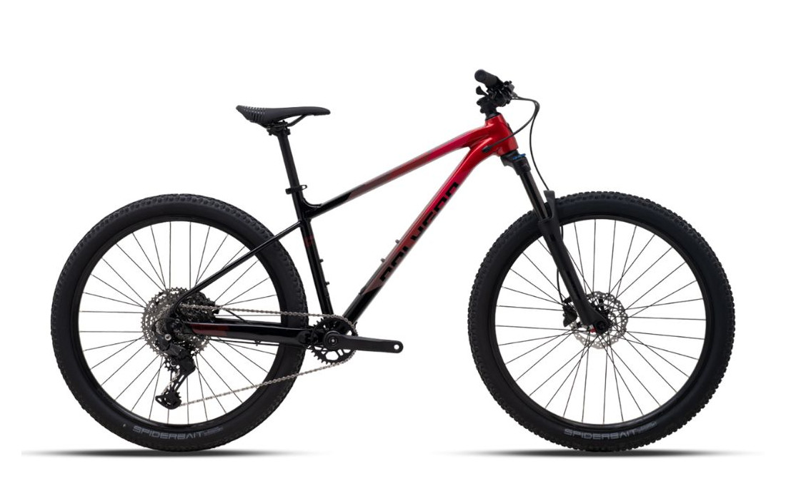 Polygon Xtrada 6 LG 29'' - 2026