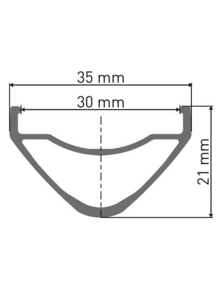 Roue arrière DT SWISS EX 1700 SPLINE / 29 / Disque 6T / Boost / MS