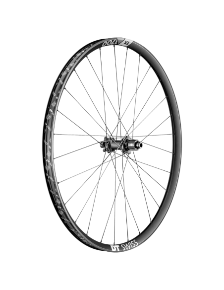 Roue arrière DT SWISS EX 1700 SPLINE / 29 / Disque 6T / Boost / MS