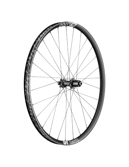 Roue arrière DT SWISS EX 1700 SPLINE / 29 / Disque 6T / HG