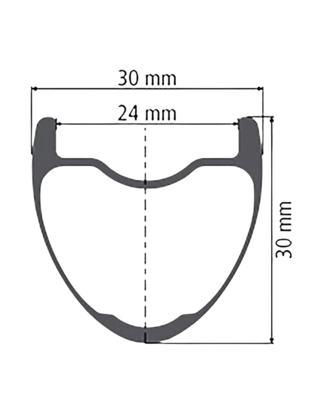 Roue avant DT SWISS XMC 1200 / 29 / Disque CL