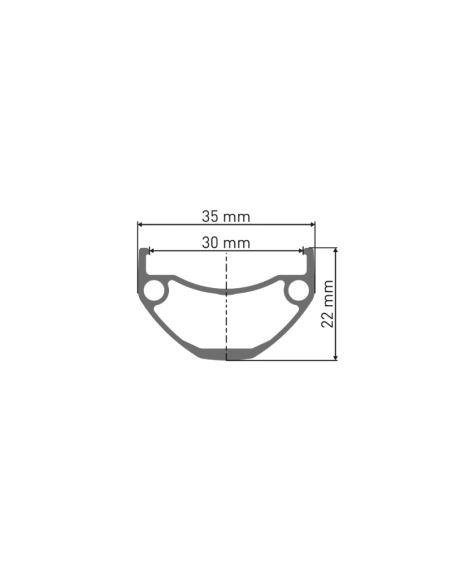 Roue arrière DT SWISS HX 1700 / 29 / Disque 6T / Micro Spline