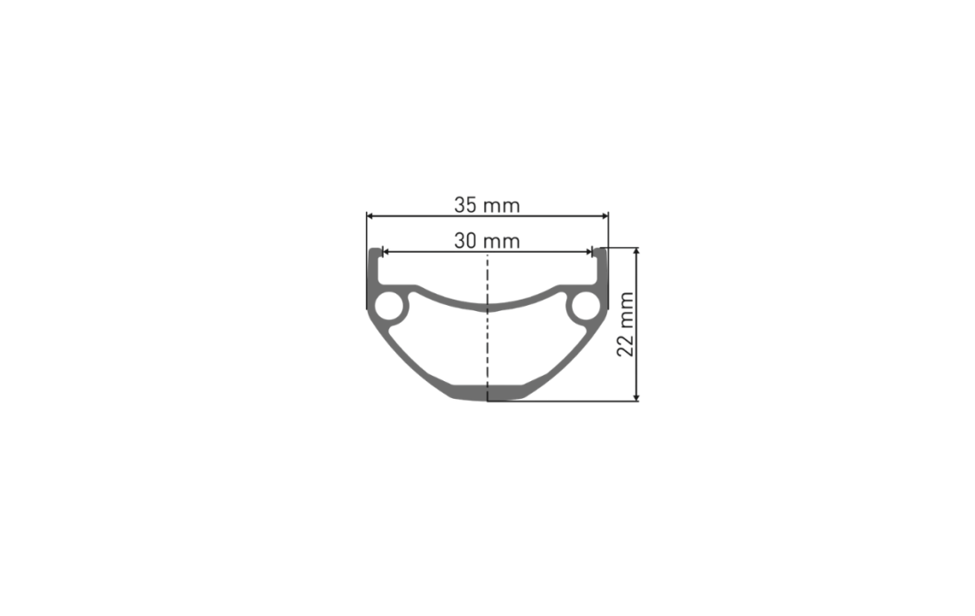 Roue arrière DT SWISS HX 1700 / 29 / Disque 6T...