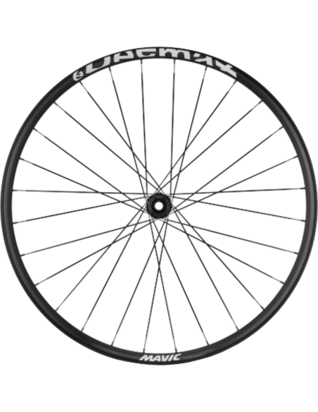 Roue arrière MAVIC E-DEEMAX / 29 / Disque 6T / HG