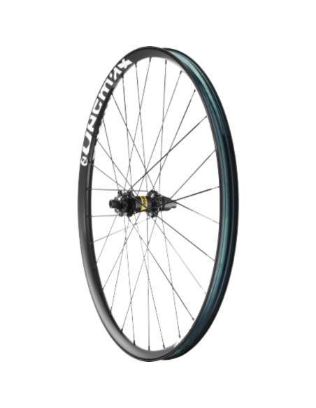 Roue arrière MAVIC E-DEEMAX / 29 / Disque 6T / HG