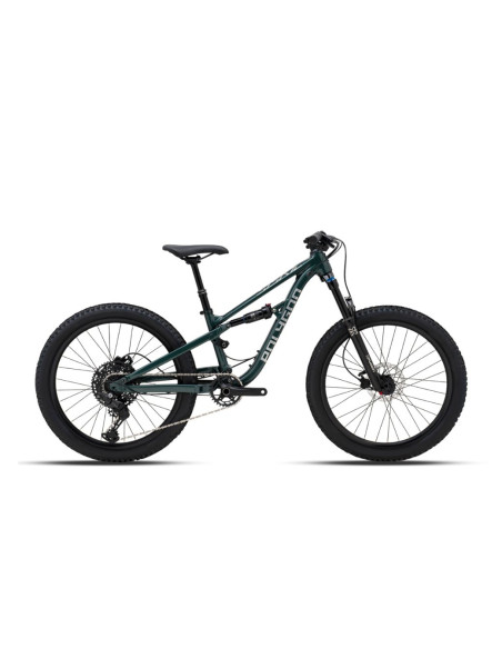 POLYGON Siskiu D24 Evo Vert - 2026