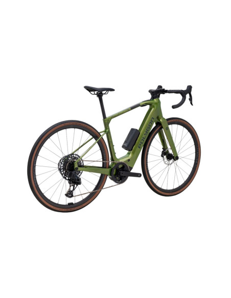 POLYGON Tambora AE GX Vert