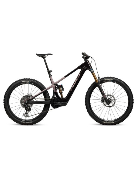 PIVOT Shuttle AMP'd Team XX AXS