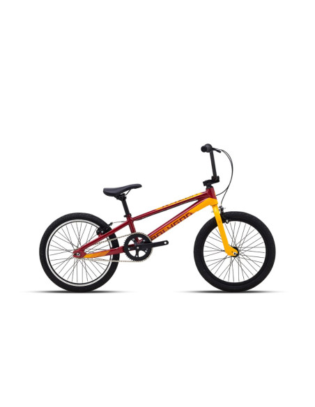 Polygon Razor Pro - 2026