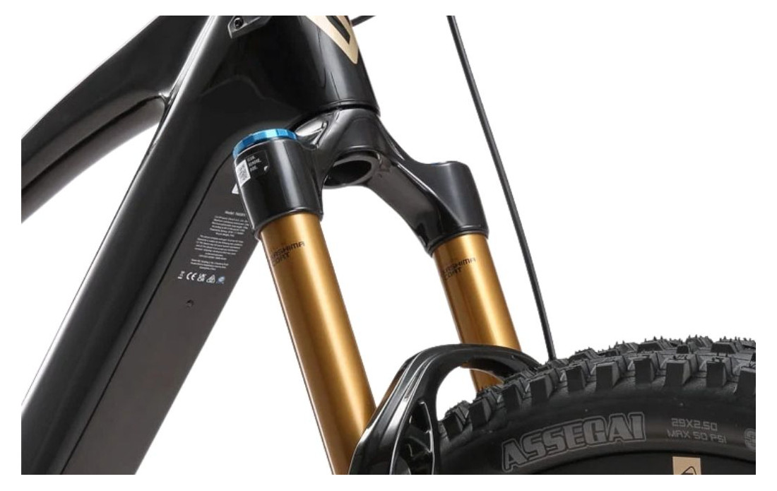 VTT Electrique TEEWING Turbo Force Pro - 2027