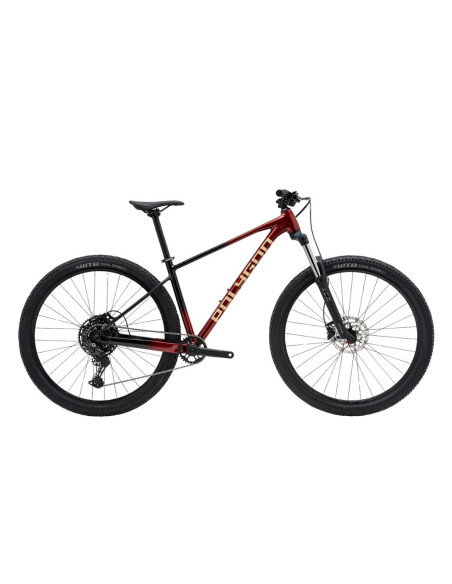 Polygon Xtrada 5 29" Rouge - 2026