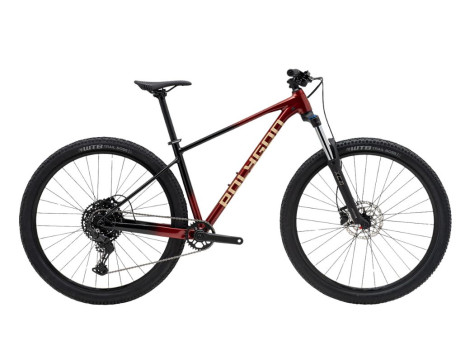 Polygon Xtrada 5 29" Rouge - 2026