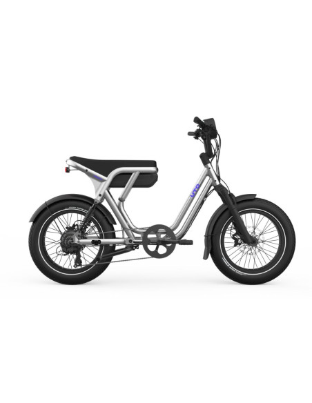 Cargo électrique bi-place UTO OG200 Métallique