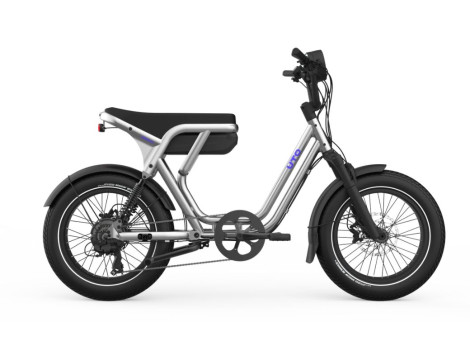 Cargo électrique bi-place UTO OG200 Métallique