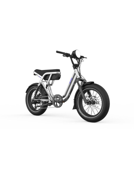 Cargo électrique bi-place UTO OG200 Métallique