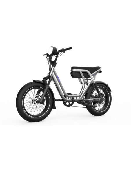 Cargo électrique bi-place UTO OG200 Métallique