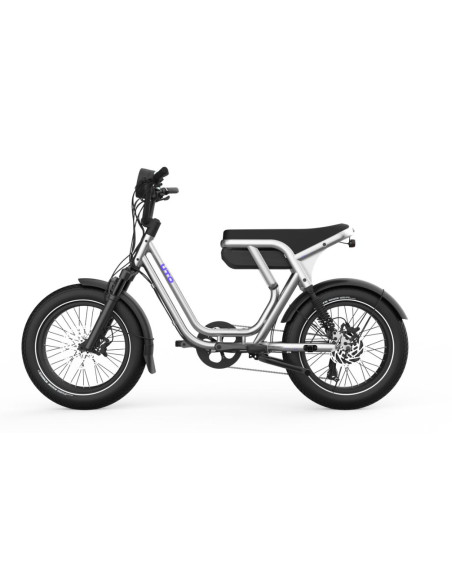 Cargo électrique bi-place UTO OG200 Métallique